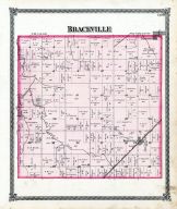 Braceville, Grundy County 1874